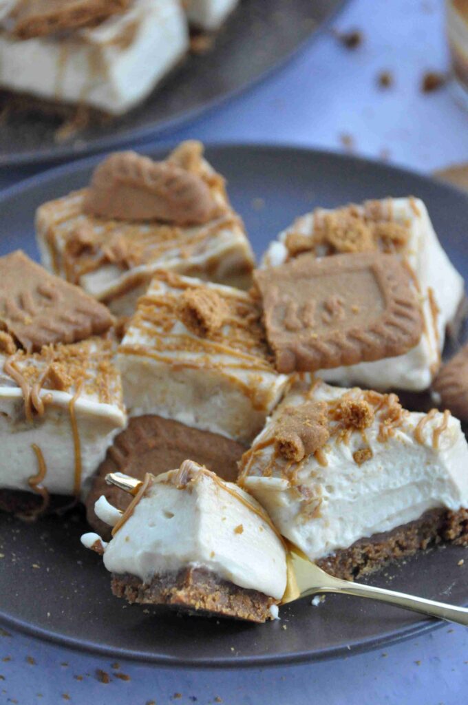 Biscoff Cheesecake Bars, with fork