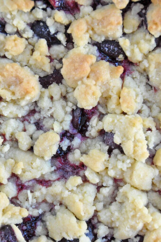 Cherry Crumble Bars flatlay