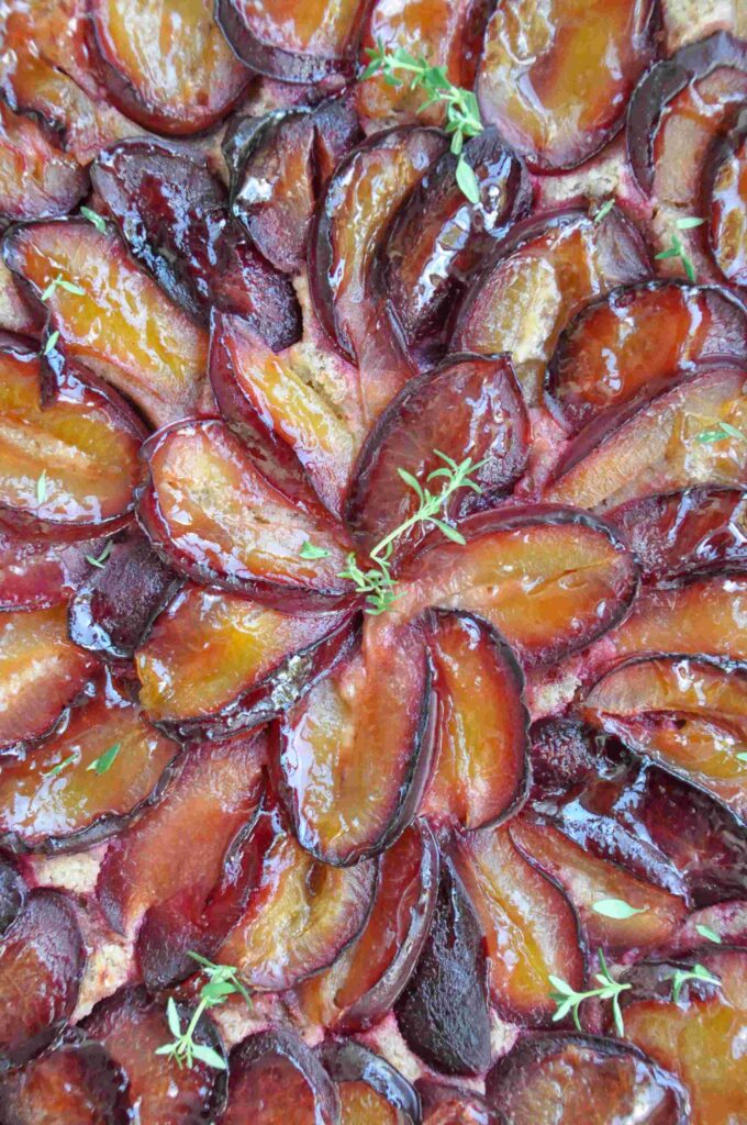 Plum Hazelnut Frangipane Tart, top view