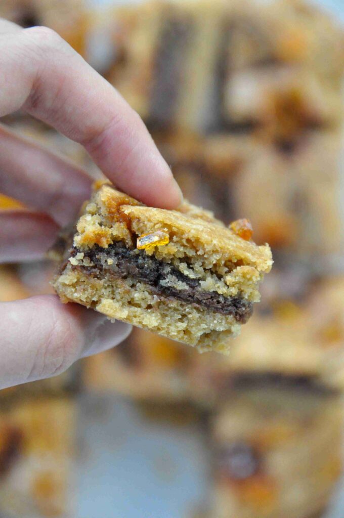 Salted Caramel Nutella Blondies, bite with Nutella