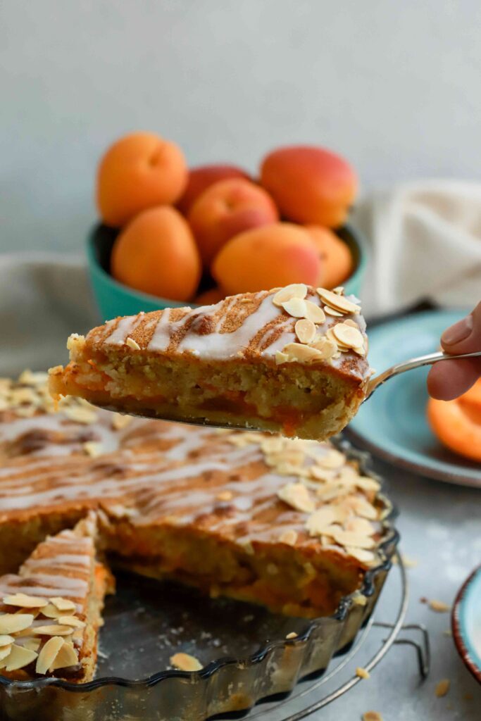 Apricot Frangipane Tart Slice in hand